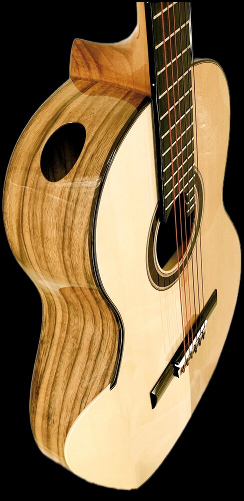dea-guitars-sol negro